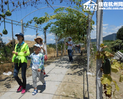 杭州mg冰球突破·西溪华府业主游乐桃园 感恩周年甜蜜一夏